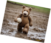 bear-ball_mud.png