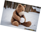 bear-snowball.png