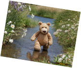 bear-spring-4.png