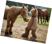 bear-talking-with-horse.png